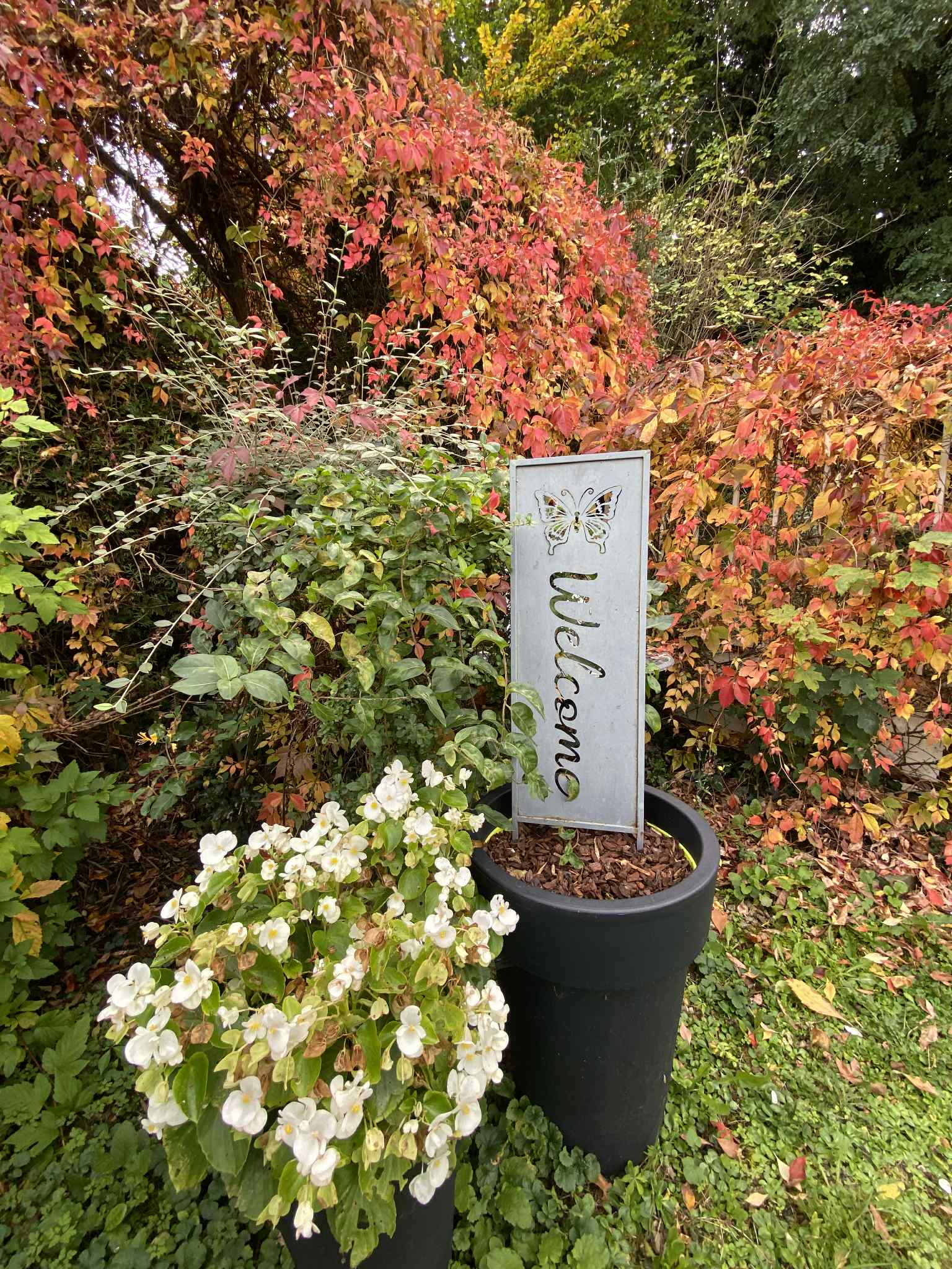 75e51538-0abe-4613-8560-d787dfebeb93