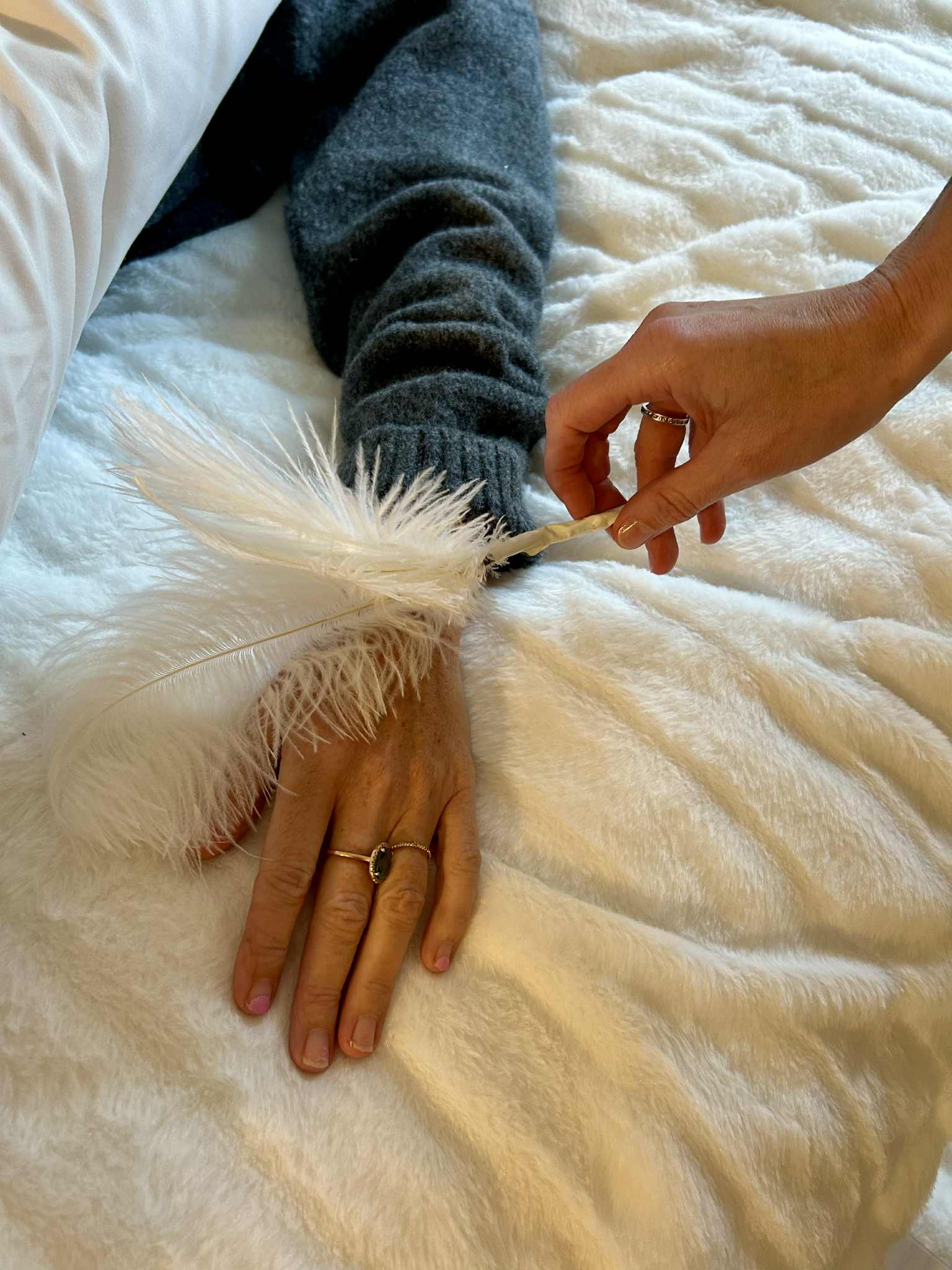 c0489a69-4f93-40ab-83b2-c864dc7a53d7